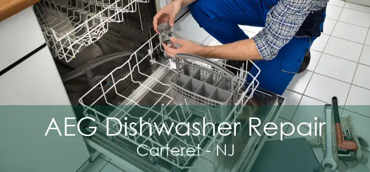 AEG Dishwasher Repair Carteret - NJ