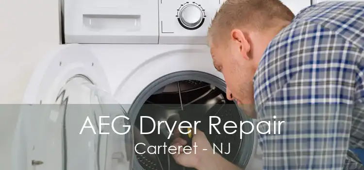 AEG Dryer Repair Carteret - NJ