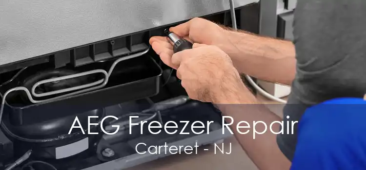 AEG Freezer Repair Carteret - NJ
