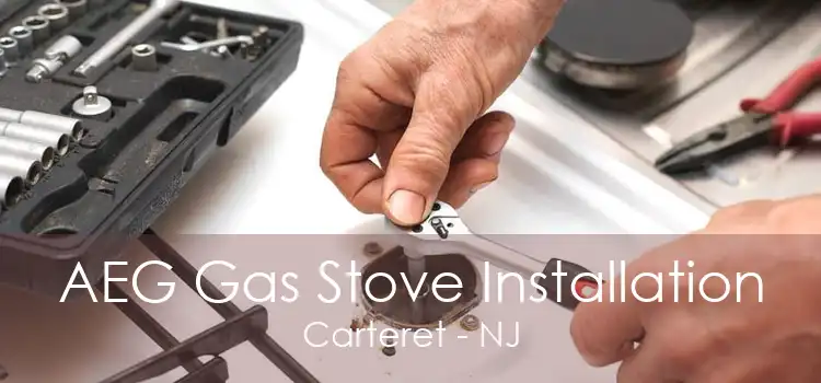 AEG Gas Stove Installation Carteret - NJ