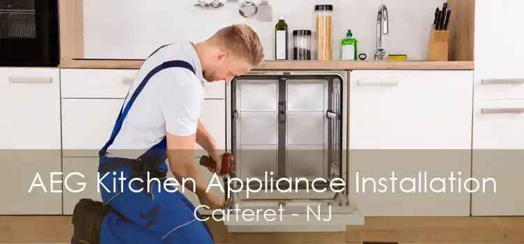 AEG Kitchen Appliance Installation Carteret - NJ