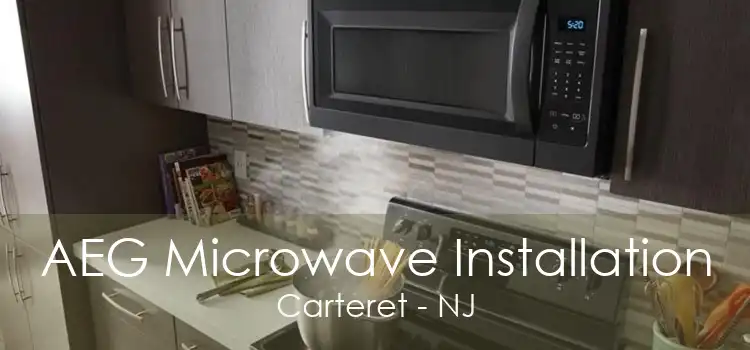 AEG Microwave Installation Carteret - NJ