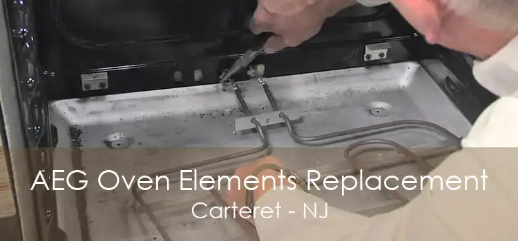 AEG Oven Elements Replacement Carteret - NJ