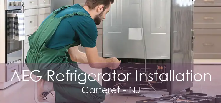 AEG Refrigerator Installation Carteret - NJ