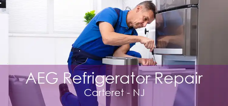 AEG Refrigerator Repair Carteret - NJ