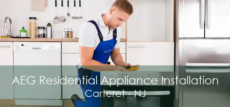 AEG Residential Appliance Installation Carteret - NJ