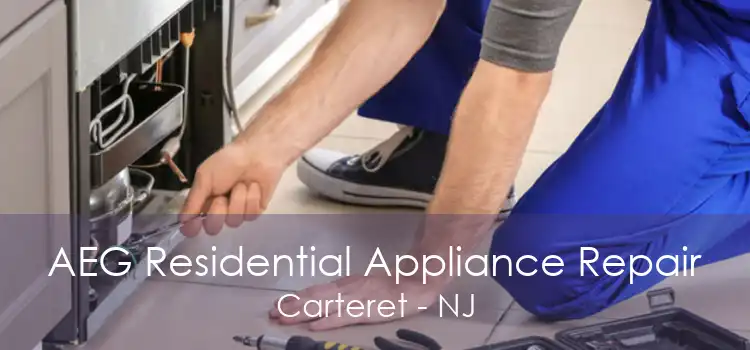 AEG Residential Appliance Repair Carteret - NJ