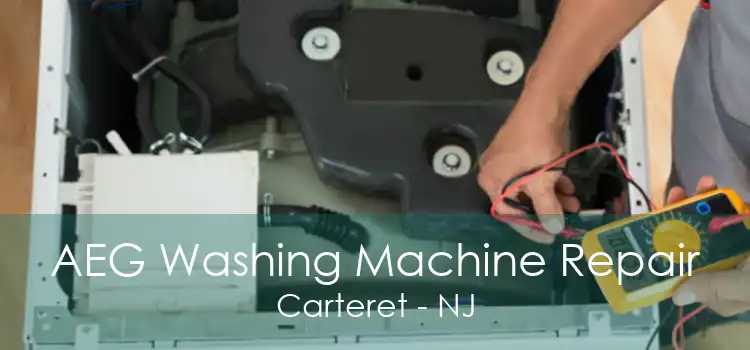 AEG Washing Machine Repair Carteret - NJ