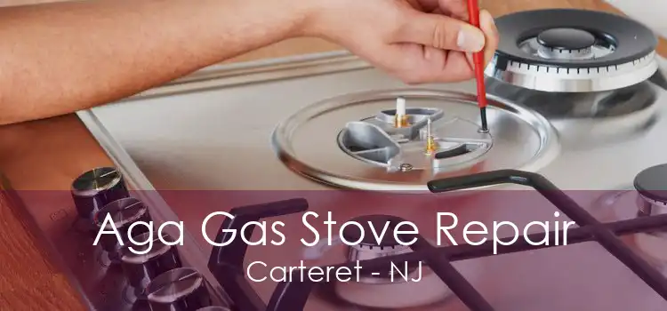 Aga Gas Stove Repair Carteret - NJ