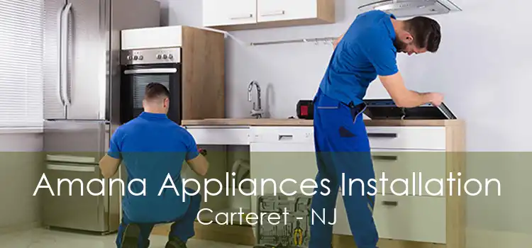 Amana Appliances Installation Carteret - NJ