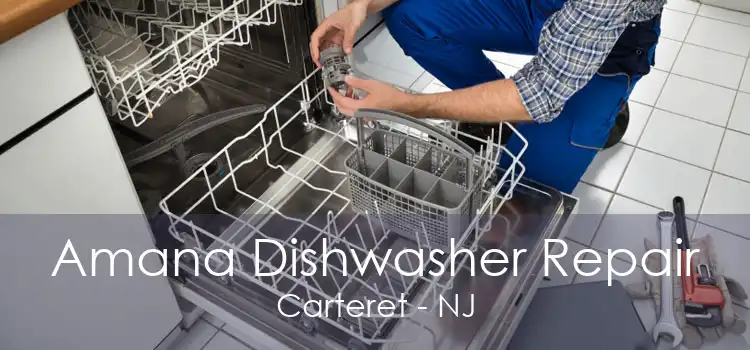Amana Dishwasher Repair Carteret - NJ