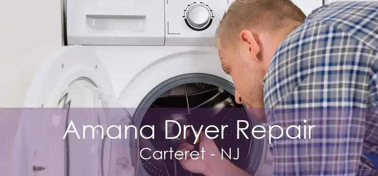 Amana Dryer Repair Carteret - NJ