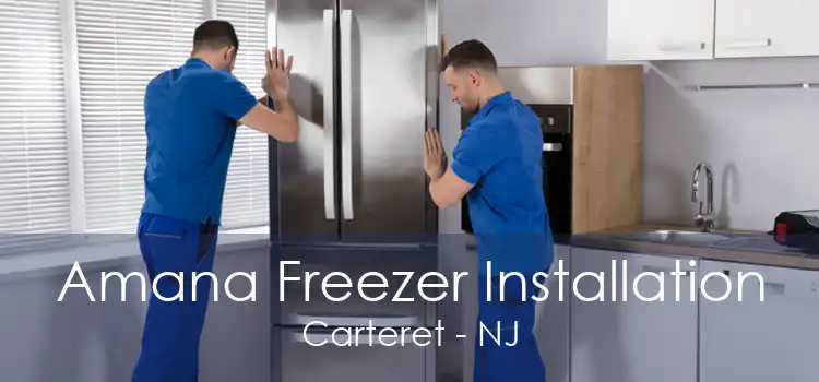 Amana Freezer Installation Carteret - NJ
