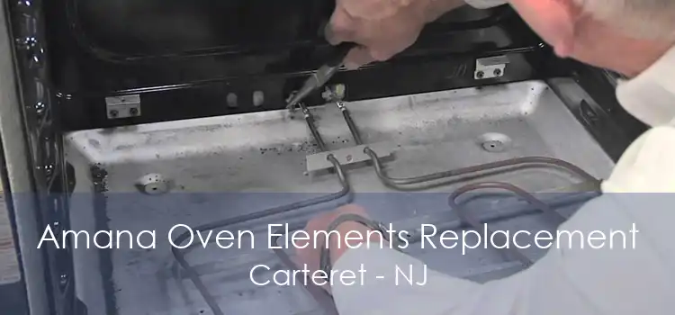 Amana Oven Elements Replacement Carteret - NJ