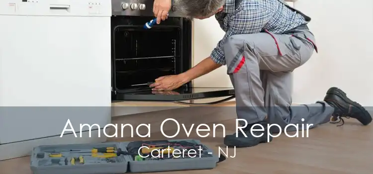 Amana Oven Repair Carteret - NJ