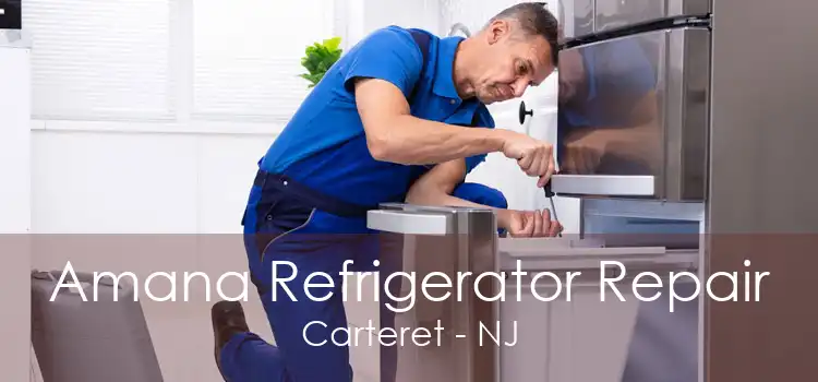 Amana Refrigerator Repair Carteret - NJ