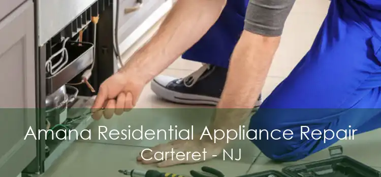 Amana Residential Appliance Repair Carteret - NJ