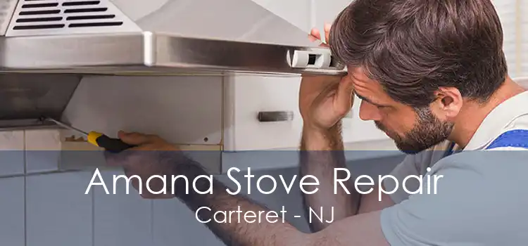 Amana Stove Repair Carteret - NJ