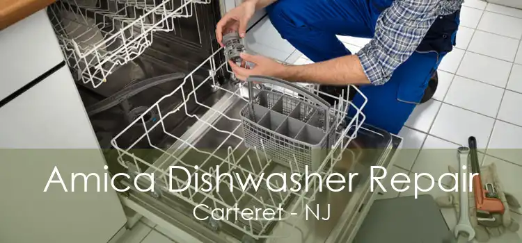 Amica Dishwasher Repair Carteret - NJ