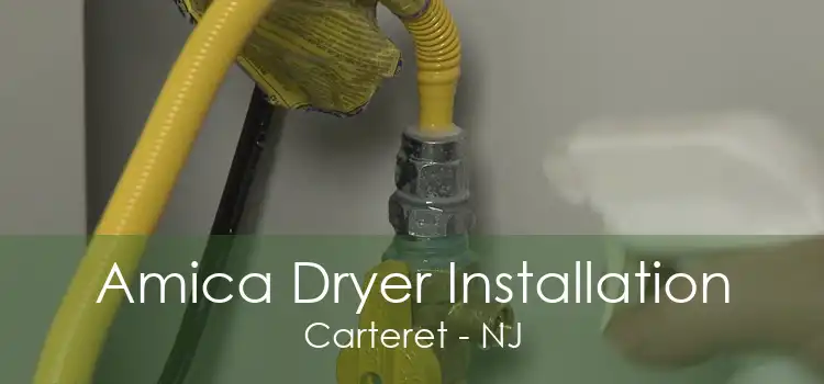 Amica Dryer Installation Carteret - NJ