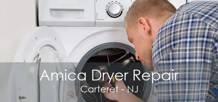 Amica Dryer Repair Carteret - NJ