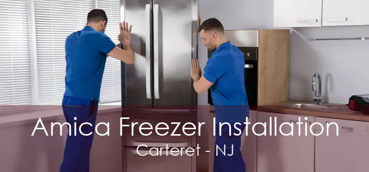 Amica Freezer Installation Carteret - NJ