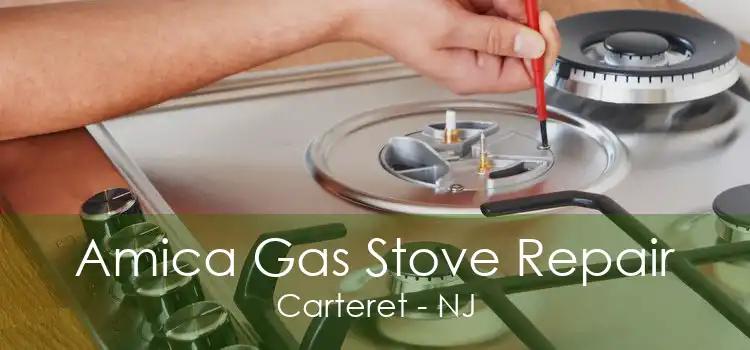 Amica Gas Stove Repair Carteret - NJ