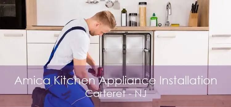 Amica Kitchen Appliance Installation Carteret - NJ