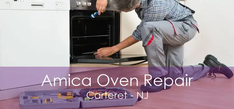 Amica Oven Repair Carteret - NJ