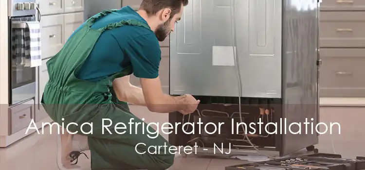Amica Refrigerator Installation Carteret - NJ