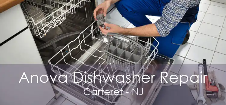 Anova Dishwasher Repair Carteret - NJ