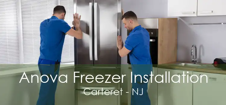 Anova Freezer Installation Carteret - NJ