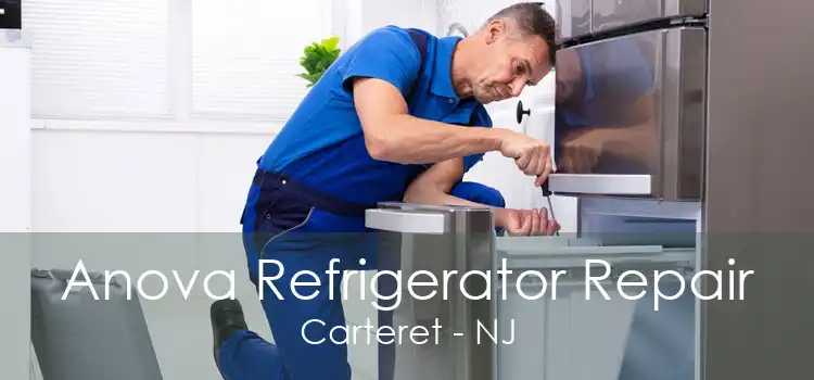 Anova Refrigerator Repair Carteret - NJ
