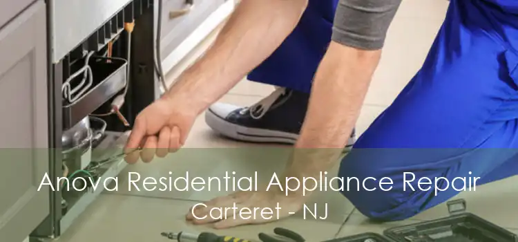 Anova Residential Appliance Repair Carteret - NJ