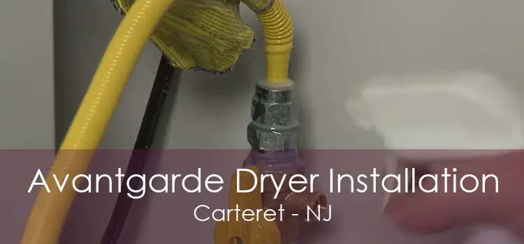 Avantgarde Dryer Installation Carteret - NJ