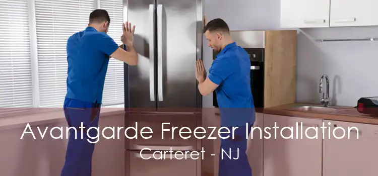 Avantgarde Freezer Installation Carteret - NJ