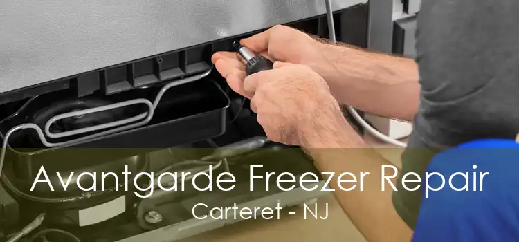 Avantgarde Freezer Repair Carteret - NJ