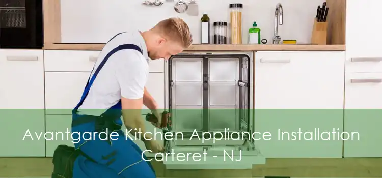 Avantgarde Kitchen Appliance Installation Carteret - NJ