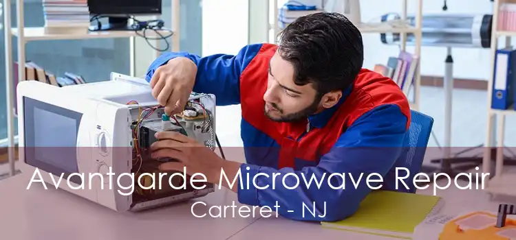 Avantgarde Microwave Repair Carteret - NJ