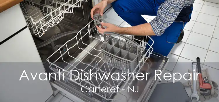 Avanti Dishwasher Repair Carteret - NJ