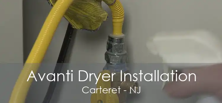 Avanti Dryer Installation Carteret - NJ