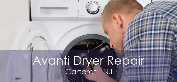 Avanti Dryer Repair Carteret - NJ