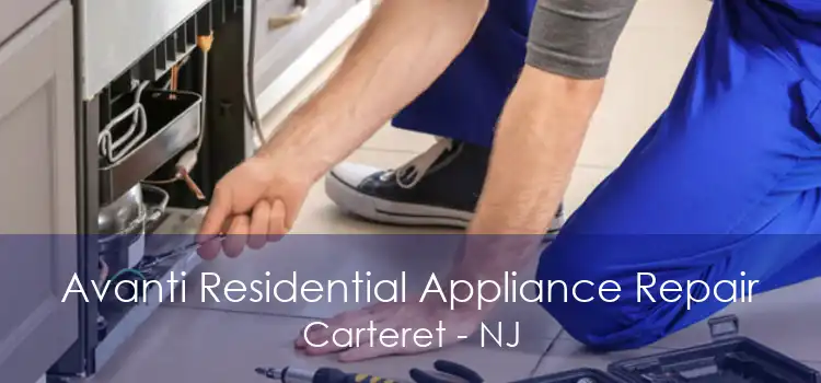 Avanti Residential Appliance Repair Carteret - NJ