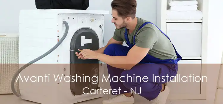 Avanti Washing Machine Installation Carteret - NJ