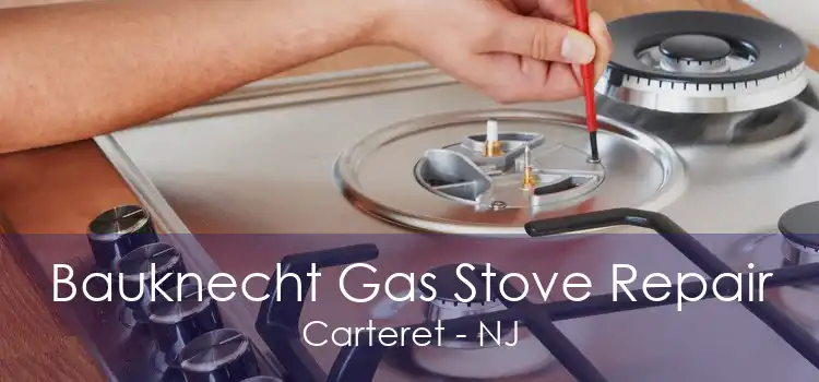 Bauknecht Gas Stove Repair Carteret - NJ