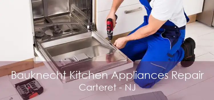 Bauknecht Kitchen Appliances Repair Carteret - NJ