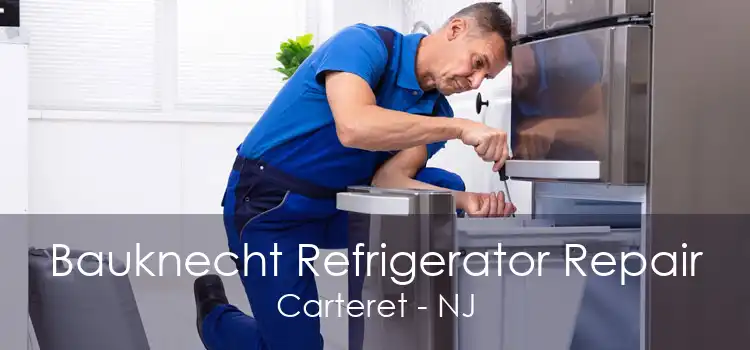 Bauknecht Refrigerator Repair Carteret - NJ