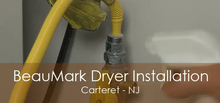 BeauMark Dryer Installation Carteret - NJ
