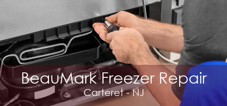 BeauMark Freezer Repair Carteret - NJ