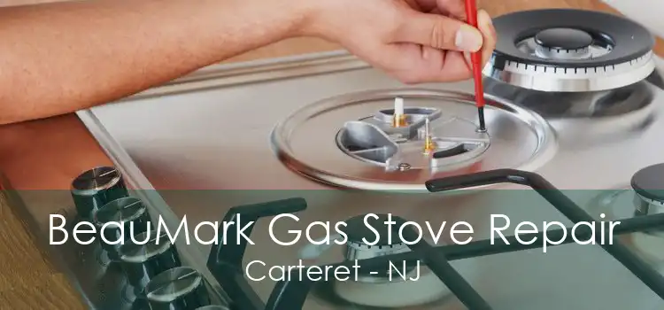 BeauMark Gas Stove Repair Carteret - NJ
